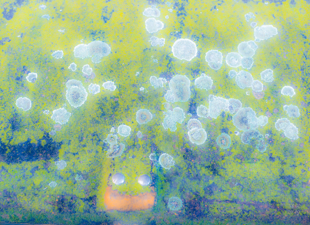 Die Faszination der Farbigkeit lässt an einen menschlichen Ursprung glauben.